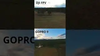 DJI FPV or GoPro? Which one looks better? #djifpv #gopro #fpv #dji #filmmaking #dronevideo #shorts