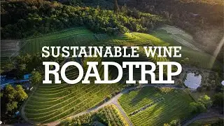 Discover the Ultimate Sustainable Wine Adventure in California