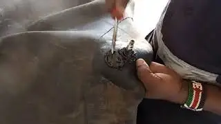 Professional tractor tube nozzle repair