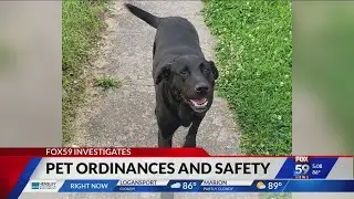 FOX59 Investigates: Pet laws you need to know to keep them safe