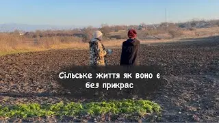 Сільське життя як воно є…