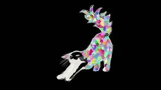 Cat - (animation test)