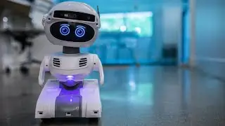 10 Mind Blowing Robots That You Need to See