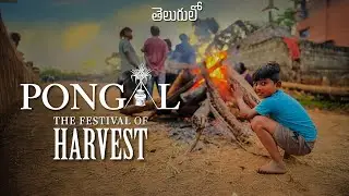 Sankranthi Ride , భోగి సంబరాలు in My Village “ #teluguvlogs #bhogi #eastgodavari
