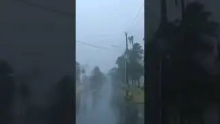 Esto No es Algo Natural! ⚠️