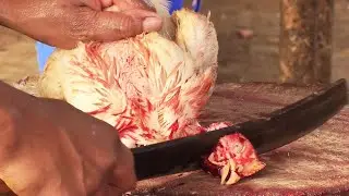 Super Fast Chicken Cutting Skills || How To Cut Whole || Chicken Amazing Cutting Skills