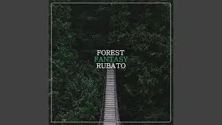 Forest Fantasy