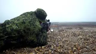 Colt Canada Light Support Weapon, Hjemmev&aelig;rnet