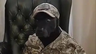 CREATIVE MEME - COMPILATION #2