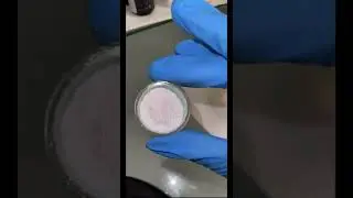 mermaid chrome powder ✨