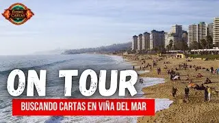 Looking for TCG stores in Vi&ntilde;a del Mar - Chile