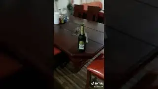 El bobo gato