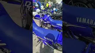 Yamaha dt200