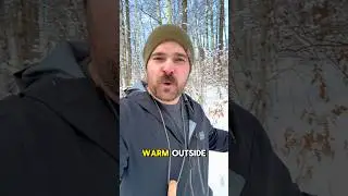 Холодно в лесу?