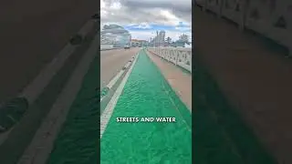 flood warning #water #miami #shorts