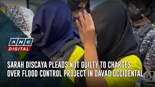 Sarah Discaya pleads not guilty to charges over flood control project in Davao Occidental | ANC