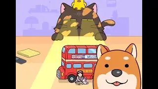 Bad Doggy #hideandseekfun