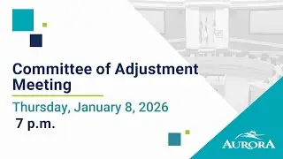 Committee of Adjustment (Video Conference)