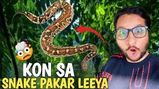 SNAKE PAKAR LIYA😱| SNAKEVLOG #snake#snakevideo#samp