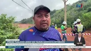 5 FEB 2026 - BW - POKOK TUALANG LEBIH 120 TAHUN AKHIRNYA DITEBANG: BERI LALUAN KEPADA PEMBINAAN LTU