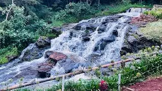 THIS IS TWIN RIVER FALLS IN TIGONI #picnicspot #nairobi #tigoni