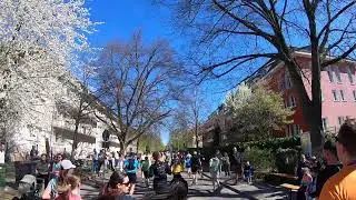 Mein Freiburg Marathon 2025#GoPro