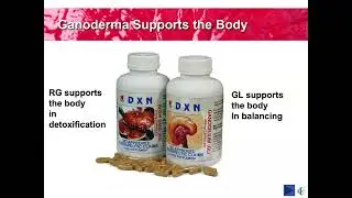 DXN RGGL Benefit