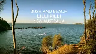 Bush and Beach Walk Lilli Pilli NSW Australia. 4k