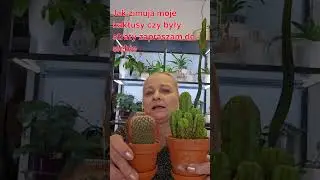 How do my cacti overwinter and were there any losses?