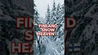 Would you survive a winter here ? #nature #finland #kuopio