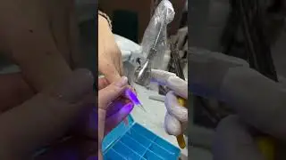 Урок по моделированию миндаля 