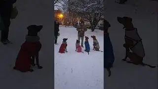 Как выглядит идеальный воскресный вечер?
