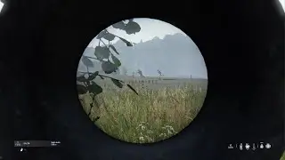 Snipe 102 DAYZ Sogifted