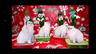 Elf Yourself de Huggo #7: Cats!