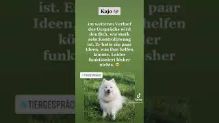Tiergespr&auml;ch mit Kajo! 🐶💕