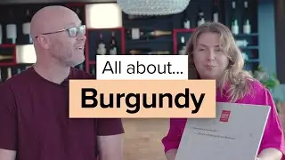 All About Burgundy &ndash; The Wine Society answer the big questions wine lovers are asking