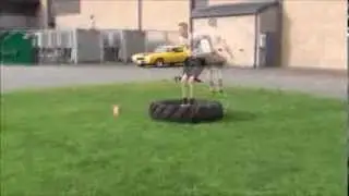 Take No Days Off (Max Gray)