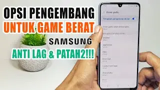 How to Set Developer Options on a Samsung Phone to Prevent Lagging and Stuttering