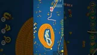 worms draft and big snake finish and best game play #wormszone #snake #gaming #100kvews
