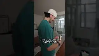 How To Feed Raw For Beginners