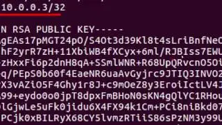 Demo Tinc - VPN