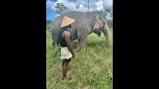 Nomadic Beats | Afro House | 3 step | House | Deep House | Afro Tech | culture