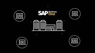 SAP Business One Intercompany Addon