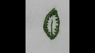 Embroidery for beginner( Leaf outline button hole stitch)
