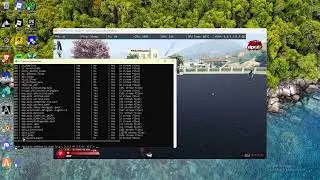 FiveM Dumper Resources Version Beta