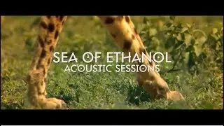 INDIAN ASKIN - WAKE ME UP (Sea of Ethanol acoustic sessions)