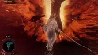 The Bright Lord