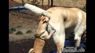 Spa&szlig; video :D