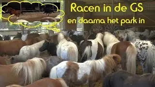 Welshjes racen door de Giant Stable ♥ daarna het park in ♥ Ponyparkcity !!