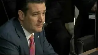 Ted Cruz at the Senate Judiciary Committee Hearing on Gun Violence - January 30, 2013